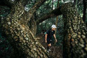 BIB: 
                            <button type="button" onclick="openModal(25394233)" class="btn btn-primary btn-sm float-right btn-popup" data-toggle="modal" data-target=".modal-high-quality">
                        <i class="fas fa-shopping-cart"></i> Add to Cart
                    </button>
                                            <button type="button" onclick="isThisMe(25394233, true)" class="btn btn-success btn-sm float-right btn-popup btn-isme hidden" data-toggle="tooltip" data-placement="bottom" title="นี่คือรูปของคุณใช่ไหม คลิกที่นี่เพื่อเอาเข้าอัลบั้ม">
                        <i class="fas fa-plus"></i> Add to album
                    </button>
                    <button type="button" onclick="isThisMe(25394233, false)" class="btn btn-warning btn-sm float-right btn-popup btn-isnotme hidden">
                        <i class="fas fa-ban"></i> Remove from album
                    </button>